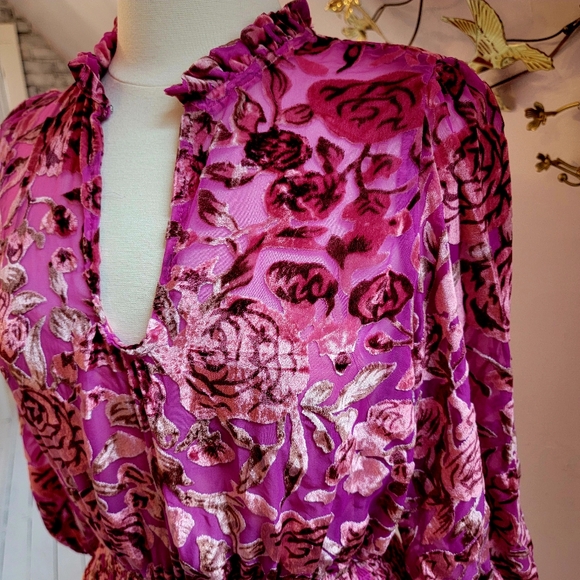 o.p.t Velvet Floral Pink Dress - Picture 8 of 9